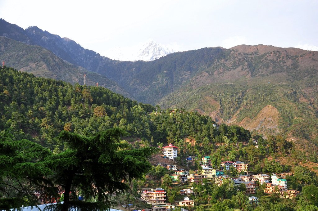 Mountain Views - Hotel The Crown Dharamshala